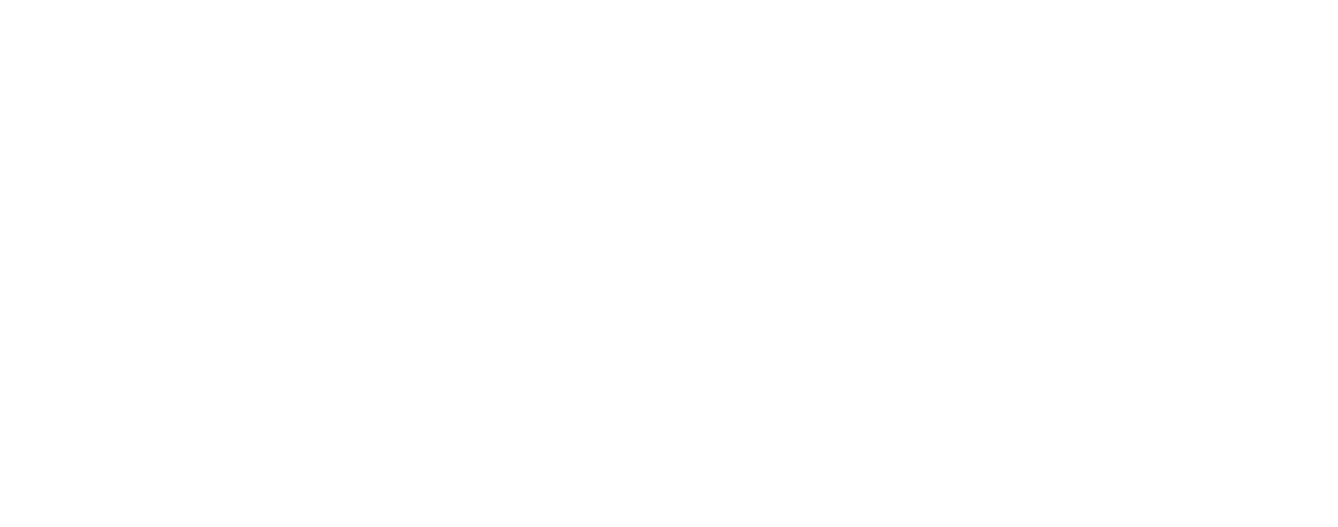Camden Wildfire Basketball - DSG Australia